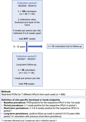 Natural History of Cutaneous Human Polyomavirus Infection in Healthy Individuals